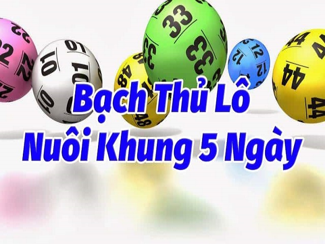 Bắt bạch thủ nuôi khung 5 ngày