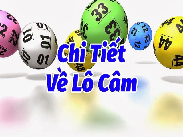 Cách soi cầu lô câm